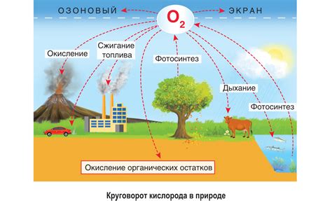 Возможные последствия при сжигании кислорода