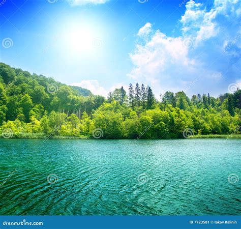Вредность зеленой воды