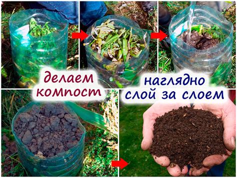 Вредные цветы для компостирования