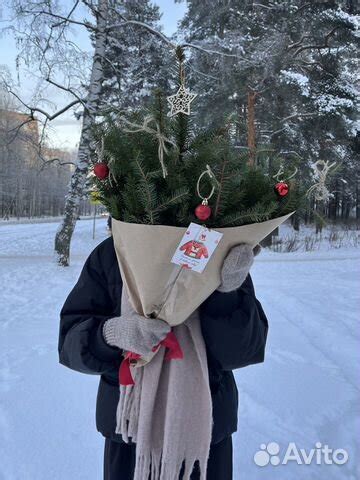 Вред и польза держания еловых веток дома
