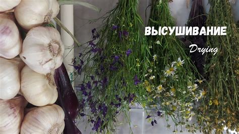 Выкладка и высушивание
