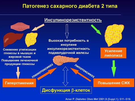 Горбуша и сахарный диабет: взаимосвязь и последствия