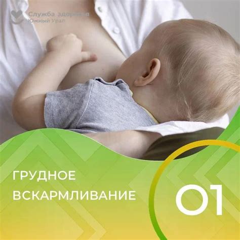 Грудное вскармливание: как правильно начать и продолжать