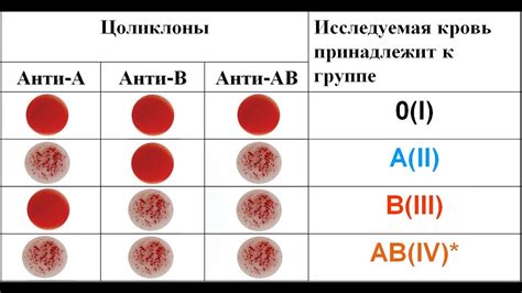 Группы крови