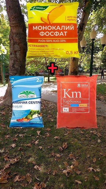 Гумат калия и фитоспорин: совместимость и применение
