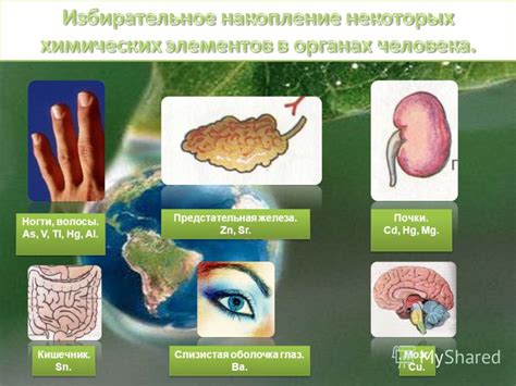 Действие комбилипена на организм