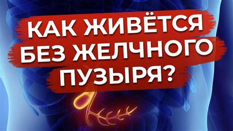 Диетическое значение овса для людей без желчного пузыря