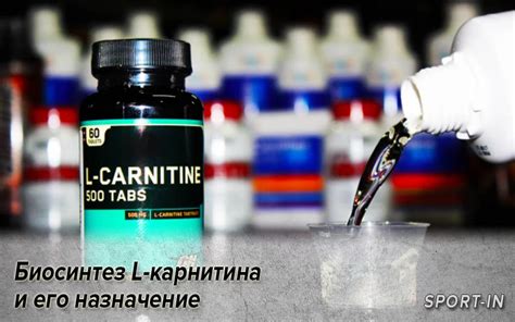Длительное хранение L-карнитина