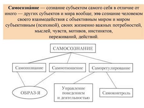 Доказательства самосознания души