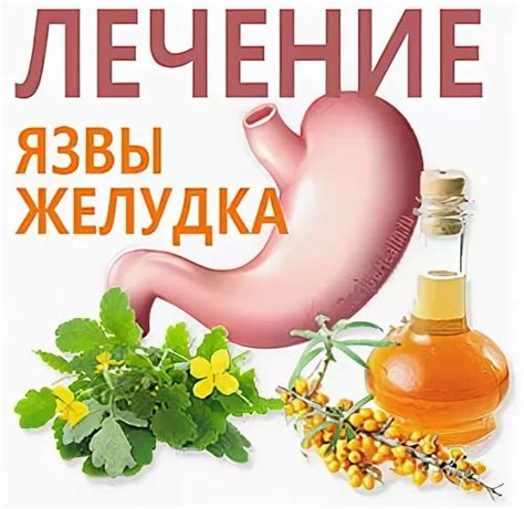 Душица для лечения повышенной кислотности желудка