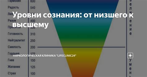 Жизненная целесообразность стремления к высшему