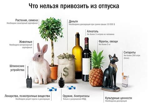 Законодательные ограничения на вывоз эвкалиптовых веников из Абхазии
