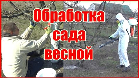 Защита от заморозков и болезней