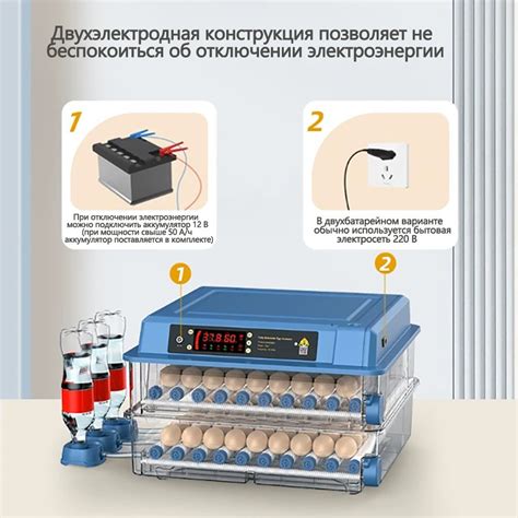 Значение питания для увеличения размера яиц