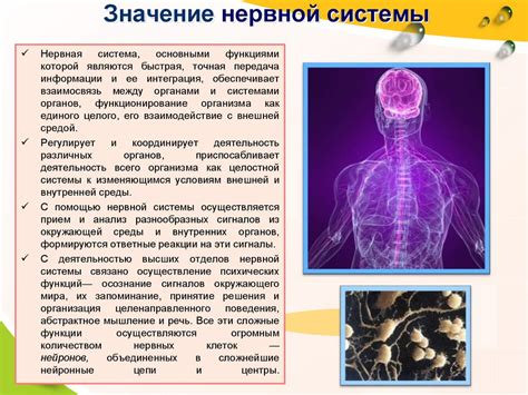 Значение снежка для организма