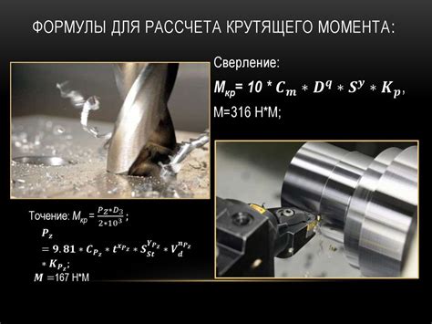 Исследование влияния запаха собаки на мышей