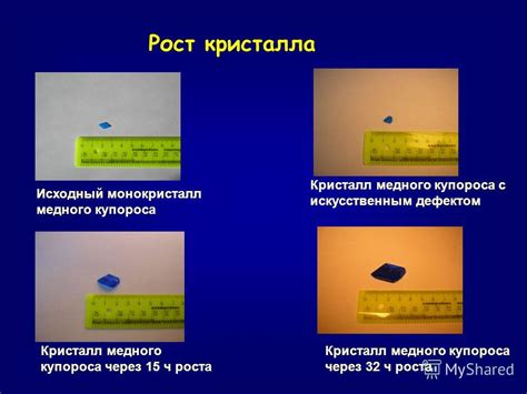 Исследования о влиянии медного купороса на организм