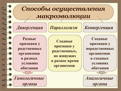 Исследуем разрешенные способы осуществления работ