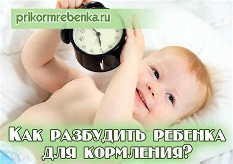 Какие вредные последствия могут быть, если не будить щенка для кормления