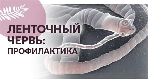 Какие негативные последствия могут быть от заражения паразитами