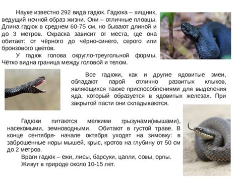 Какого вида змеи могут рыть норы