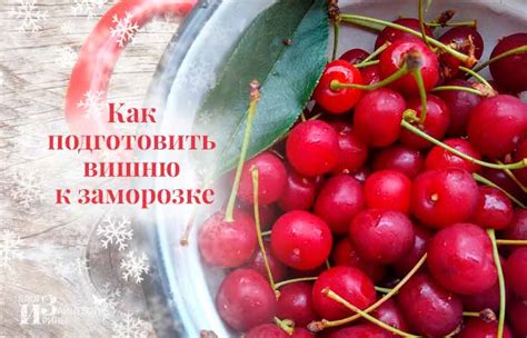 Как безопасно употреблять замороженную вишню с косточками
