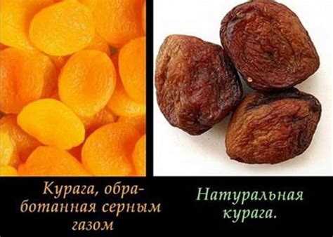 Как выбрать качественную курагу и чернослив