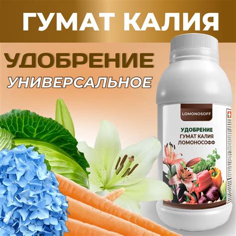 Как гумат калия повышает устойчивость растений к зимним условиям