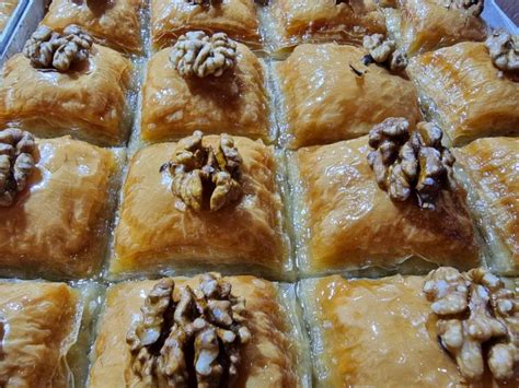 Как понять, есть ли у шиншиллы молоко