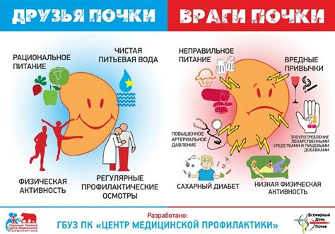 Как правильно пить каркаде при камнях в почках