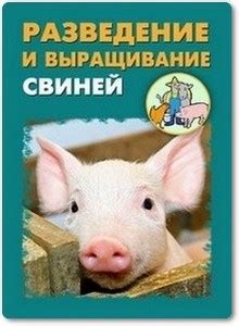 Как правильно подготовить свиноматку к проверке