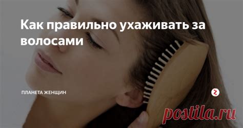 Как правильно ухаживать за доводчиком