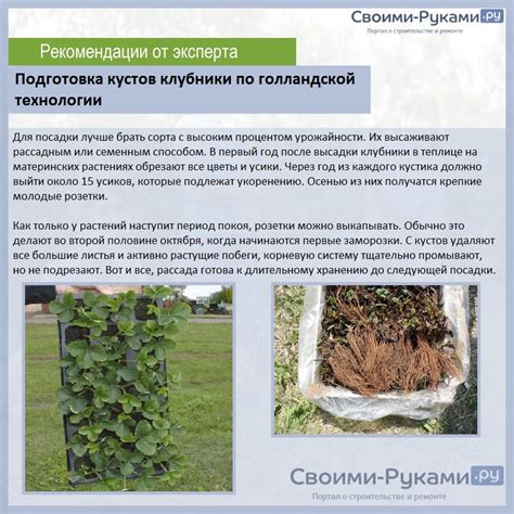 Как правильно хранить и ухаживать за катафорезным грунтом