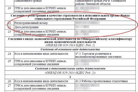 Как проверить регистрацию ИП в качестве работодателя