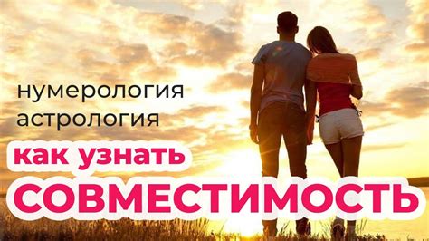 Как узнать совместимость стоек