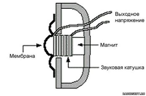 Как устроен микрофон