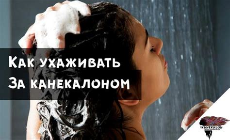 Как ухаживать за канекалоном для его продолжительного использования
