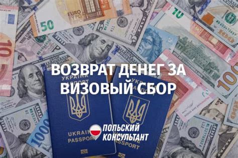 Консульский сбор при отказе в визе: базовая информация