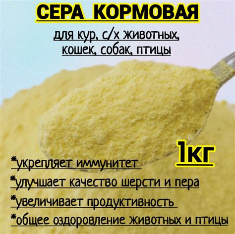 Кормовая сера: свойства и применение
