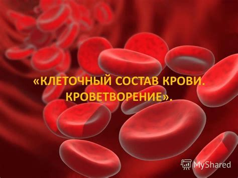 Кроветворение и состав