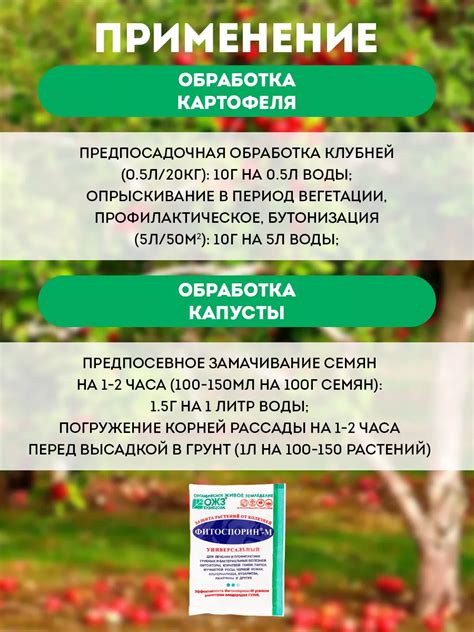 Лилии и фитоспорин: совместимость при посадке