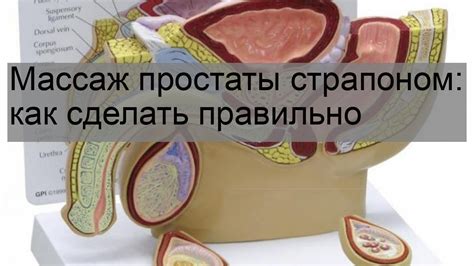 Медицинские взгляды на массаж простаты