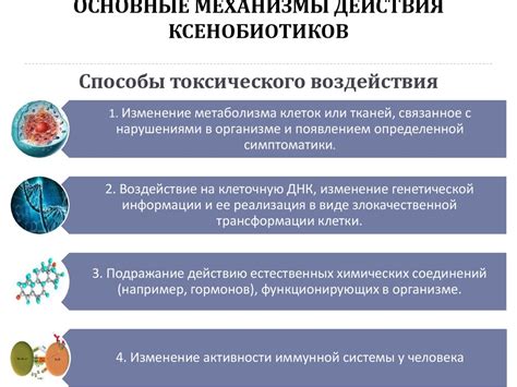Механизмы действия черной плесени на организм