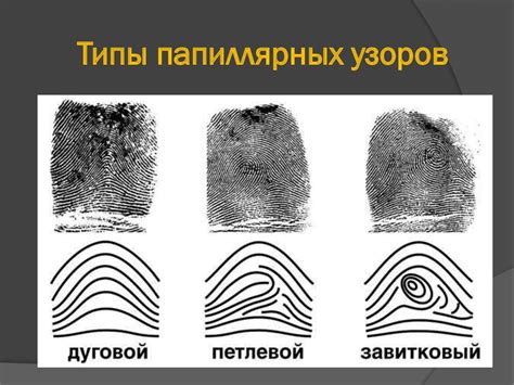 Механизмы образования отпечатков пальцев на ткани