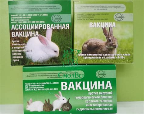 Механизм передачи миксоматоза от кролика к кролику