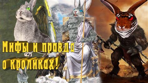 Мифы и правда о кроликах, лежащих на спине
