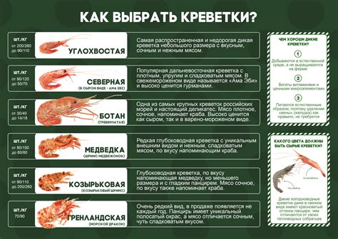 Мифы о глистах в креветках