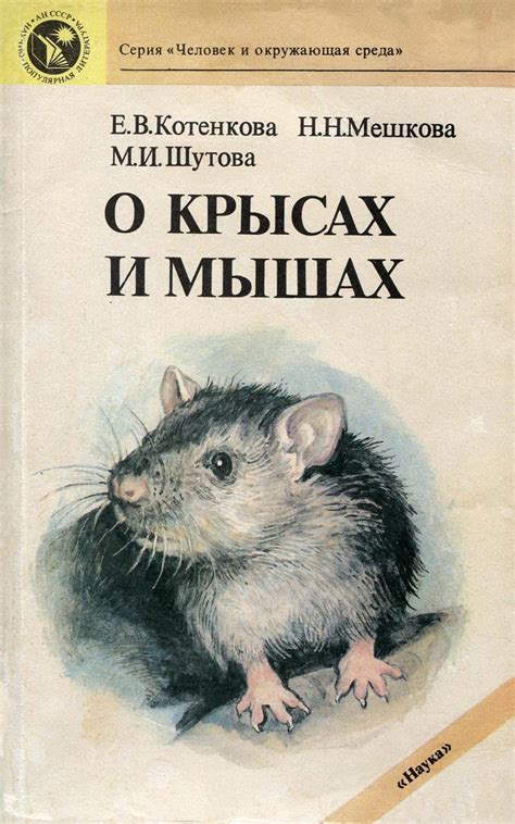 Мифы о крысах и курицах