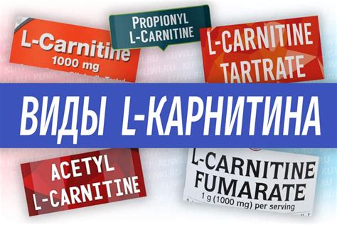 Мифы о хранении L-карнитина