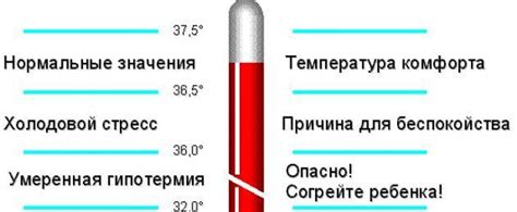 Миф или правда: мед может повысить температуру